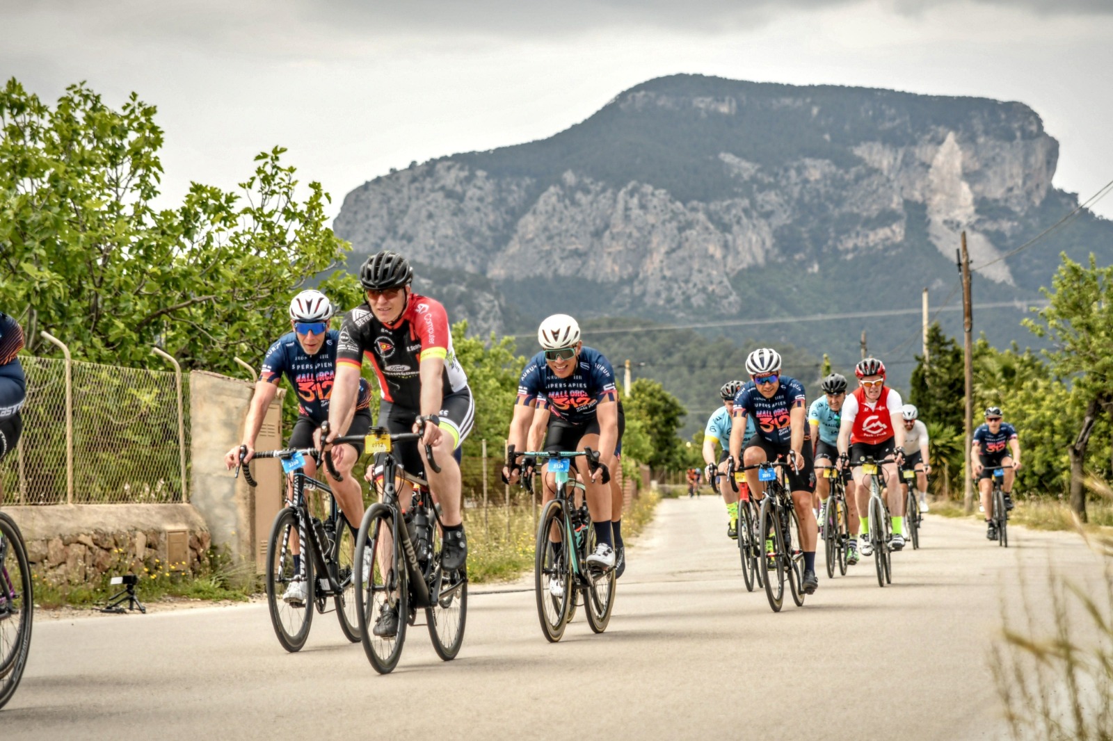 You are currently viewing Mallorca 312