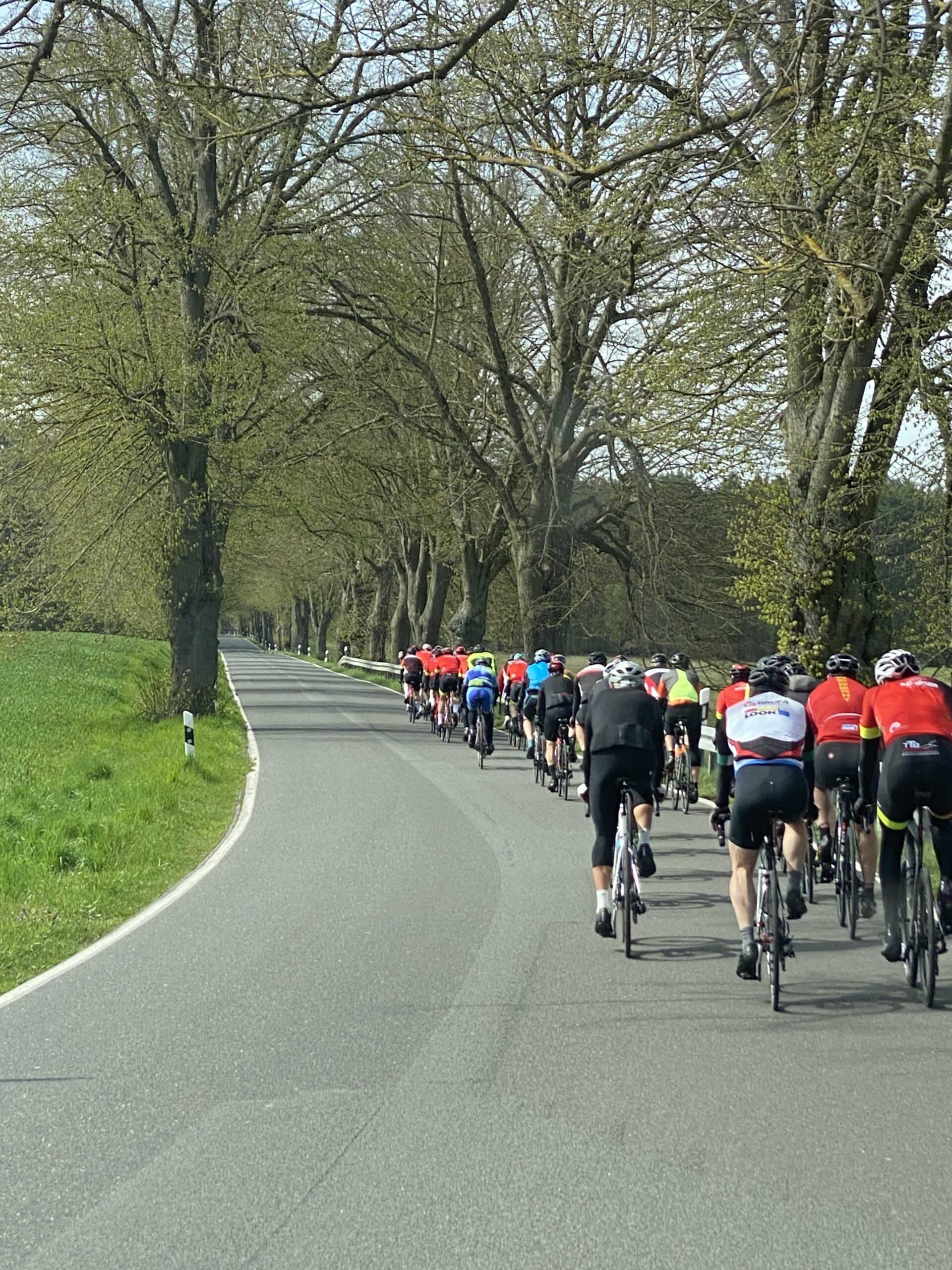 Read more about the article Save the date – Am 01.05.2025 wird wieder geradelt